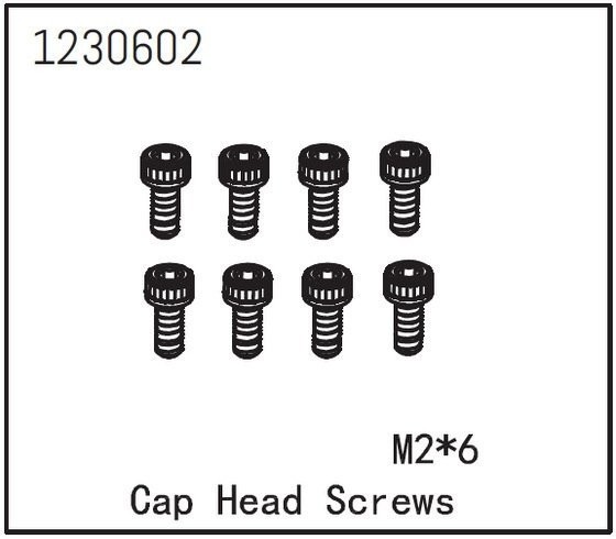 Cap Head Screw M2*6 (8)