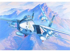 Academy Grumman F-14A (1:72)