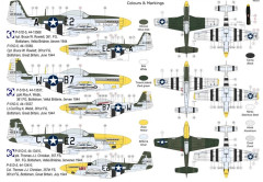 P-51D-5 Mustang "361.th FG" 1/72